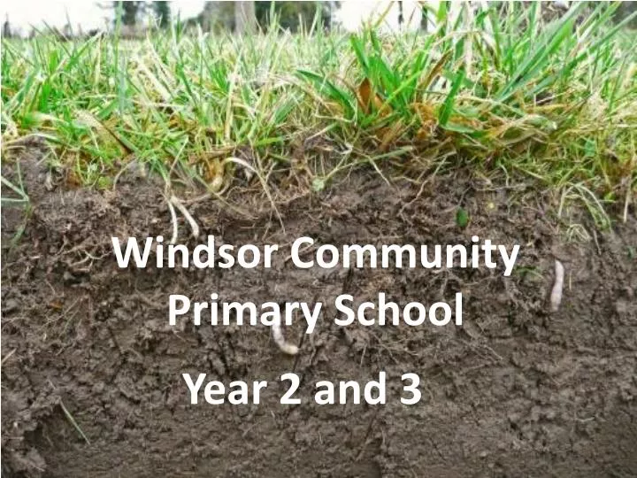 windsor community primary school