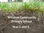 Exciting Minibeast Hunt Adventure in Year 2 and 3 at Windsor Community Primary School - slide 1
