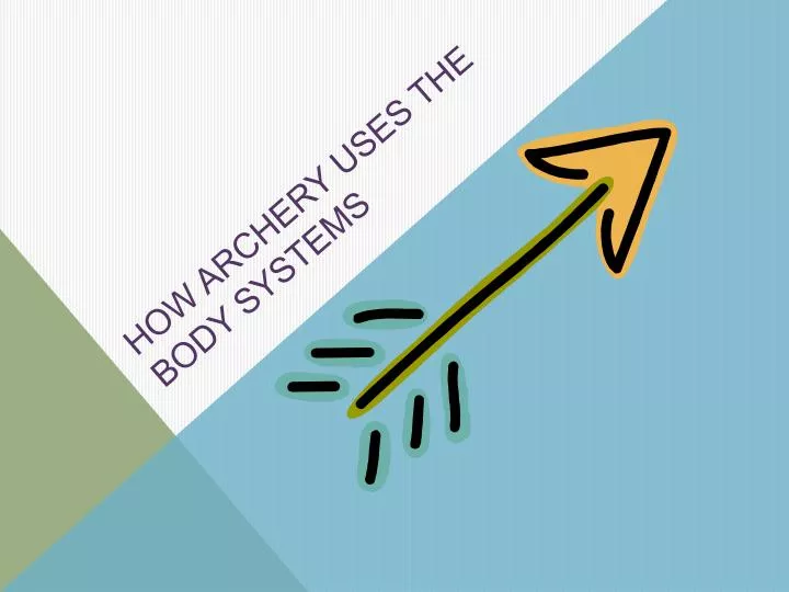 how archery uses the body systems