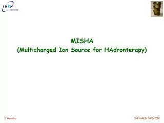 MISHA ( Multicharged Ion Source for HAdronterapy )