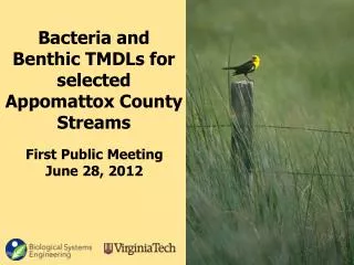 Bacteria and Benthic TMDLs for selected Appomattox County Streams