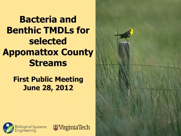 bacteria and benthic tmdls for selected appomattox county streams