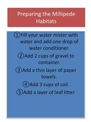 Preparing the Millipede Habitats