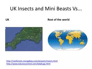 UK Insects and Mini Beasts Vs...