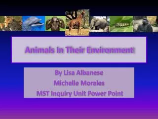 Animals In Their Environment
