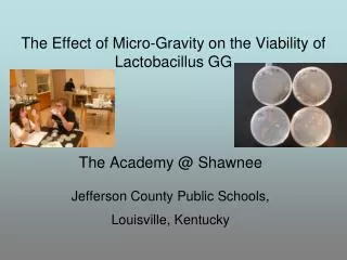 The Academy @ Shawnee Jefferson County Public Schools, Louisville, Kentucky