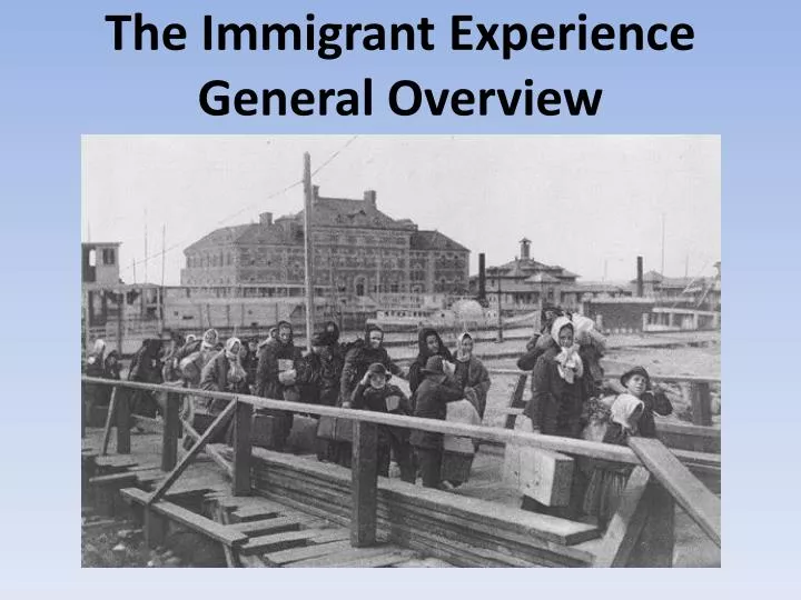 the immigrant experience general overview