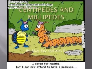 C entipedes and Millipedes