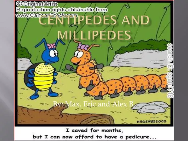 c entipedes and millipedes