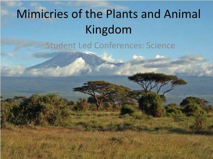 mimicries of the plants and animal kingdom