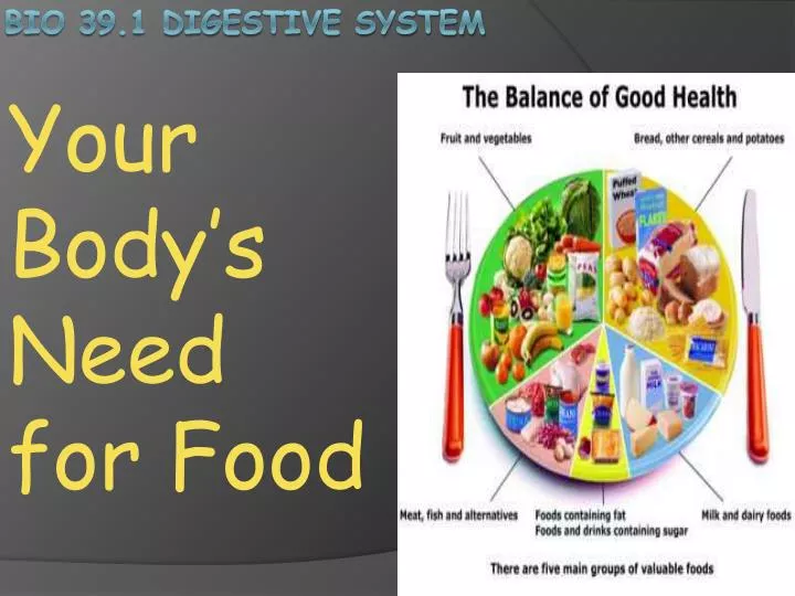 your body s need for food