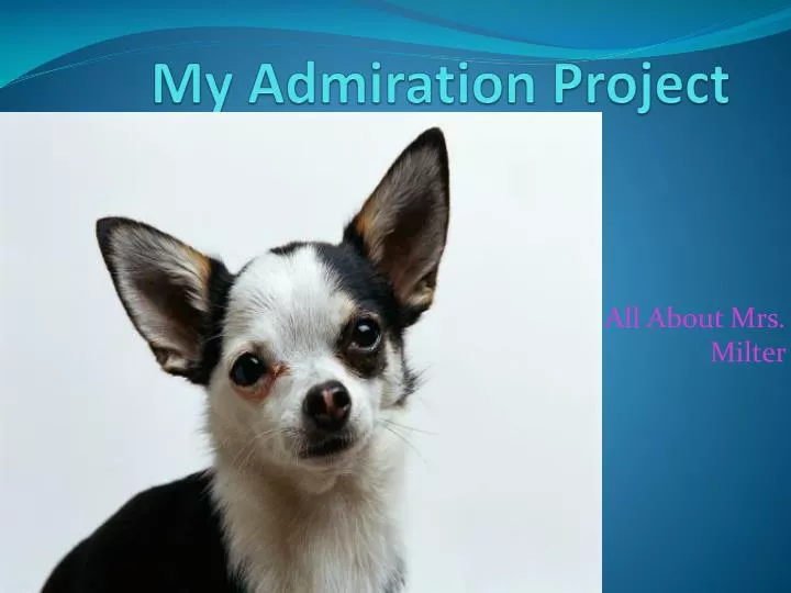 my admiration project