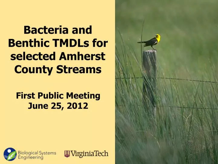 bacteria and benthic tmdls for selected amherst county streams
