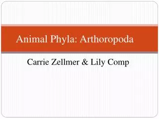 Animal Phyla: Arthoropoda