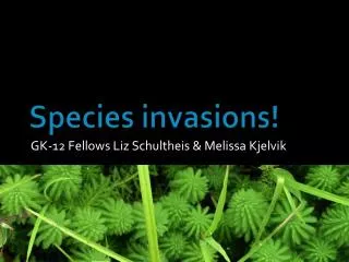 Species invasions!
