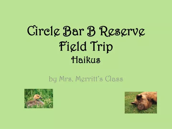 circle bar b reserve field trip haikus