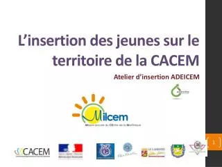 l insertion des jeunes sur le territoire de la cacem