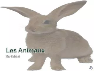 les animaux