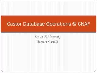 Castor Database Operations @ CNAF