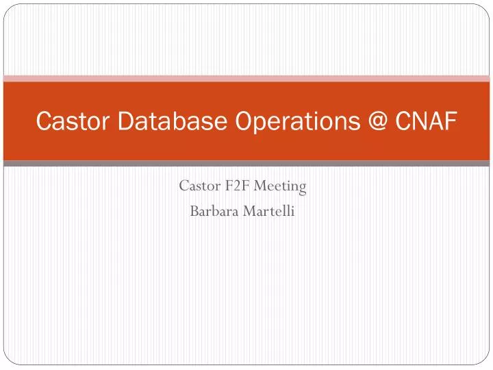 castor database operations @ cnaf