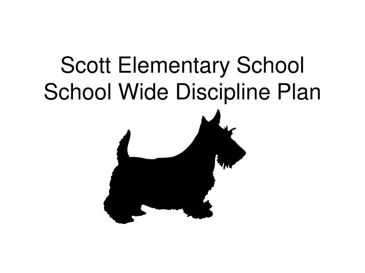 scott elementary school school wide discipline plan