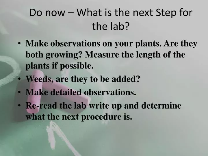 do now what is the next step for the lab