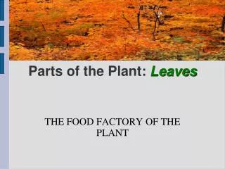 Parts of the Plant: Leaves