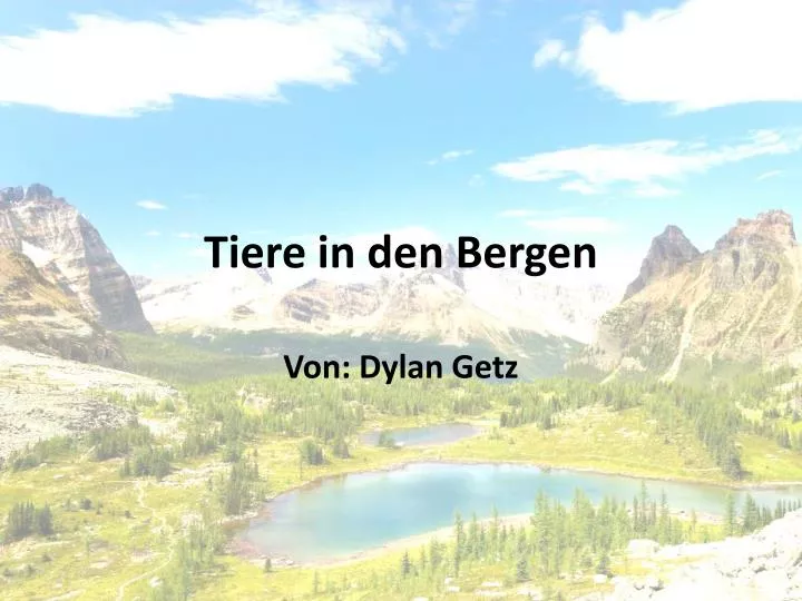 tiere in den bergen