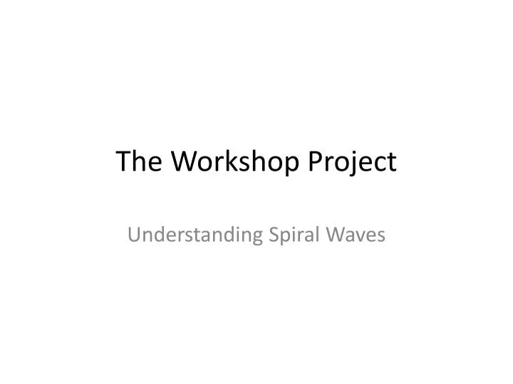 the workshop project