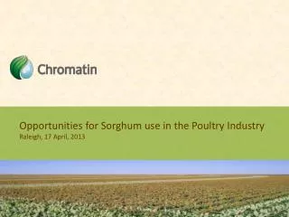 Opportunities for Sorghum use in the Poultry Industry Raleigh, 17 April, 2013