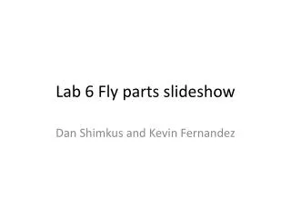 Lab 6 Fly parts slideshow