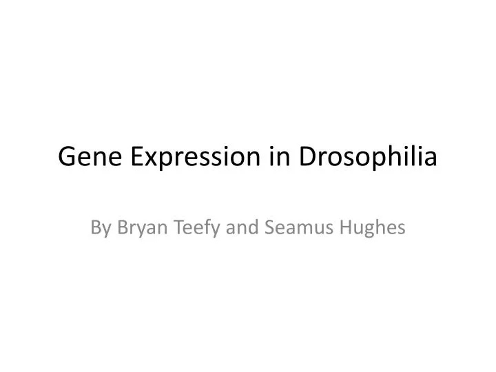 gene expression in drosophilia