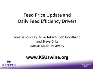 Feed Price Update and Daily Feed Efficiency Drivers