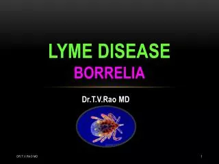 lyme disease Borrelia