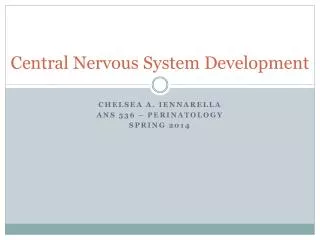 Central Nervous System Development