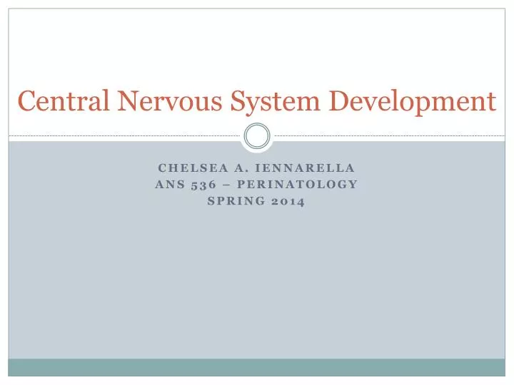 central nervous system development