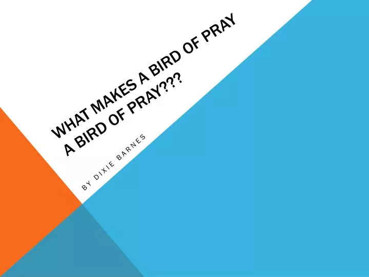 what makes a bird of pray a bird of pray