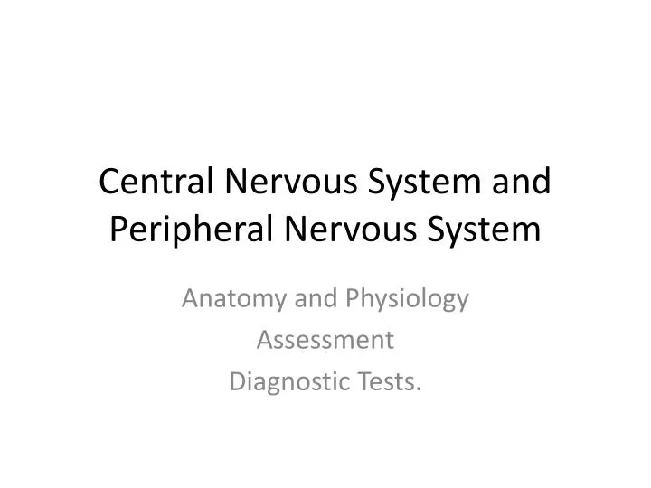 central nervous system and peripheral nervous system