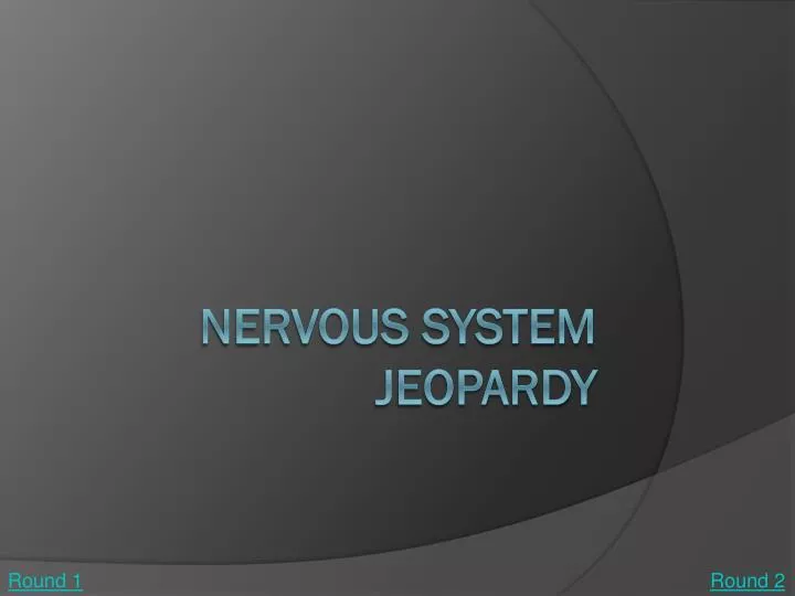 nervous system jeopardy
