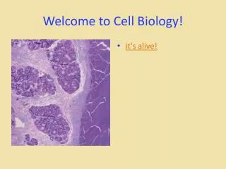 Welcome to Cell Biology!