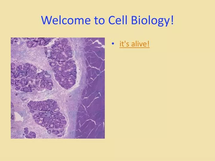welcome to cell biology