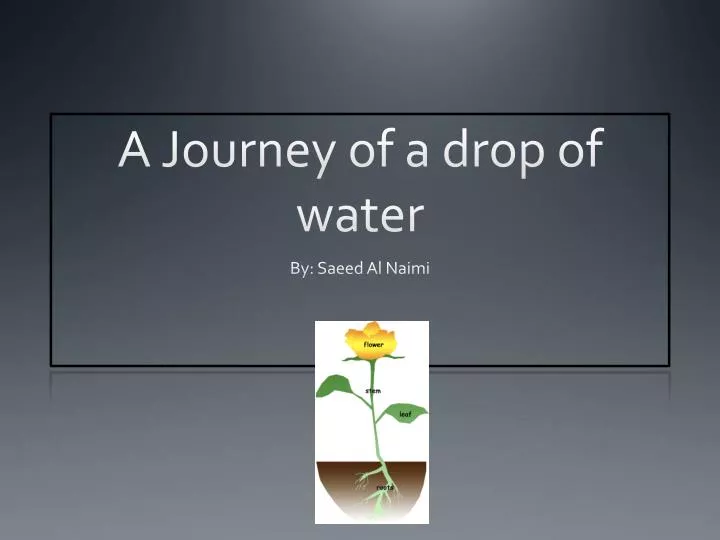 a journey of a drop of water