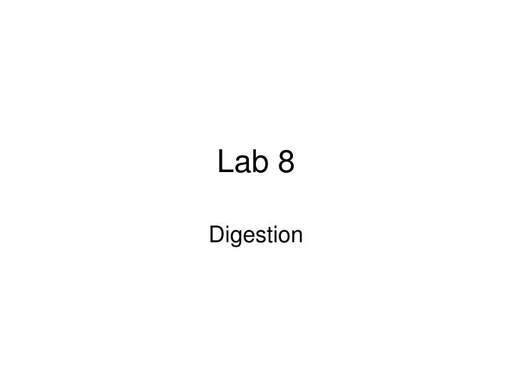 lab 8