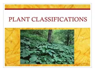 PLANT CLASSIFICATIONS