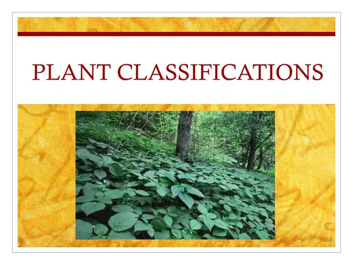 plant classifications