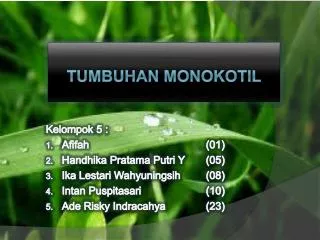 Tumbuhan Monokotil