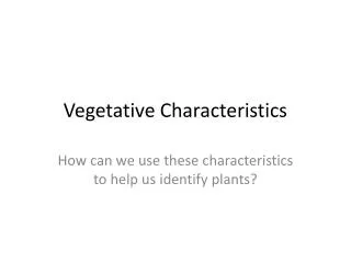 Vegetative Characteristics