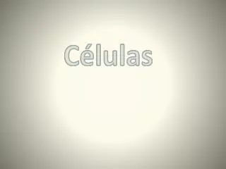 c lulas