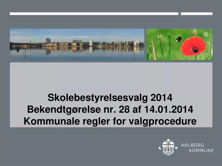 skolebestyrelsesvalg 2014 bekendtg relse nr 28 af 14 01 2014 kommunale regler for valgprocedure