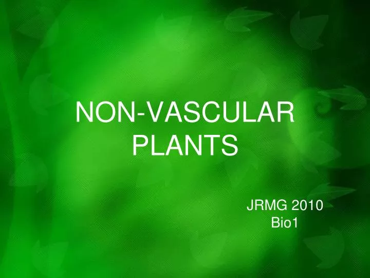 non vascular plants